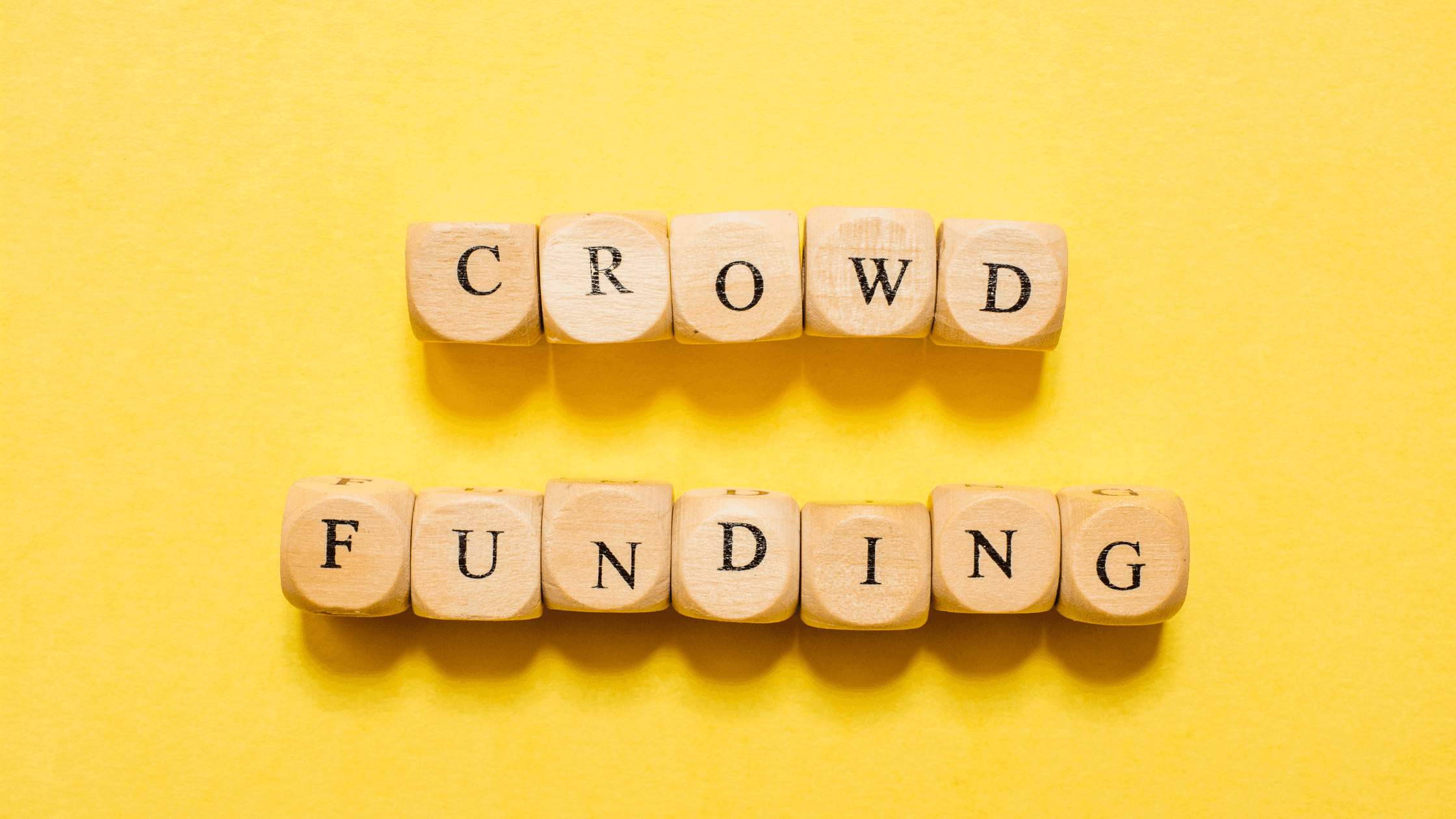 What makes an equity crowdfunding raise successful?