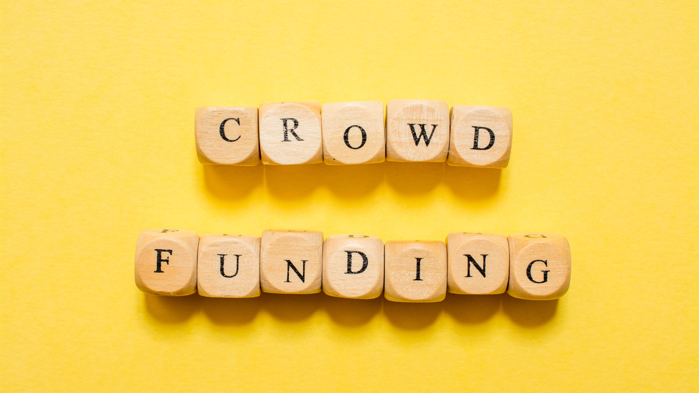 What makes an equity crowdfunding raise successful?